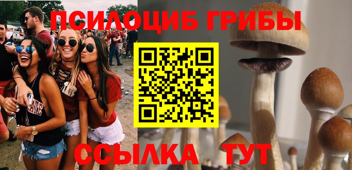Галлюциногенные грибы мицелий  Вход с VPN  Южноуральск 