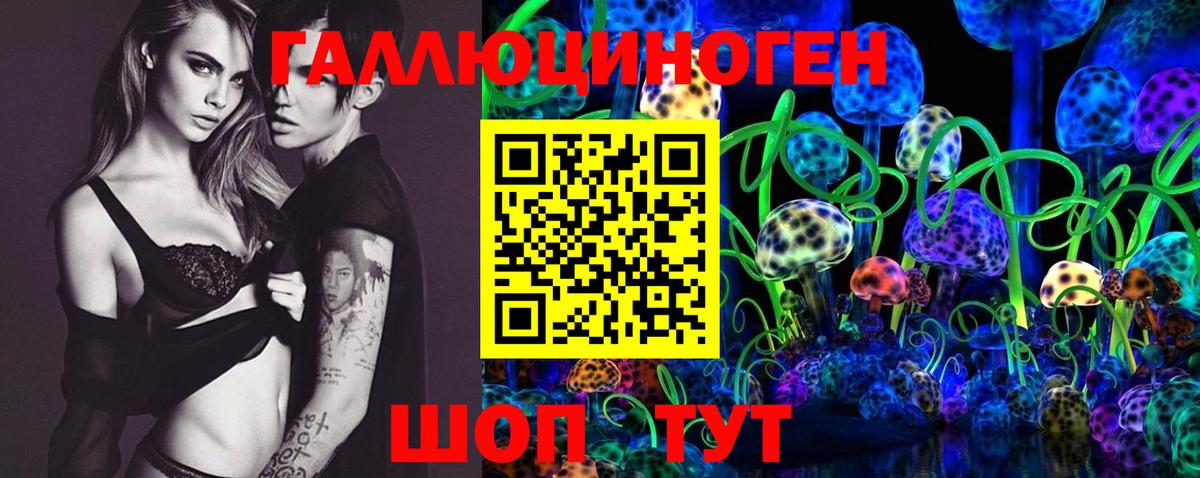 Псилоцибиновые грибы Psilocybe Южноуральск